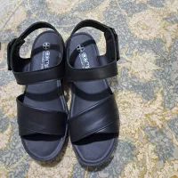 کیف کفش کاملا نو سایز ۳۹