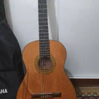 گیتار دیاموند