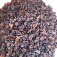 کشمش و مویز آفتابی درجه ۱|عمده‌فروشی|شیراز, گویم|دیوار