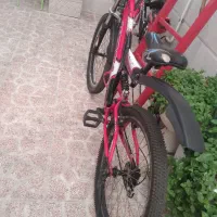 دوعدد دوچرخه