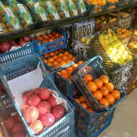 کارگر ساده میوه فروشی