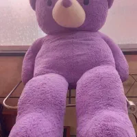 خرس بزرگ و سالم