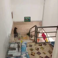 خانه حیاط دار ۱۲۰ متری در بهترین مکان|فروش خانه و ویلا|امیرکلا, |دیوار