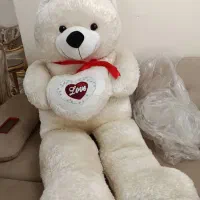 عروسک شاسخین . تدی .خرس