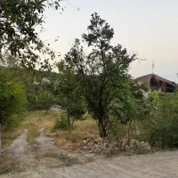 فروش-زمین-350-متری-طلارسر-رامسر