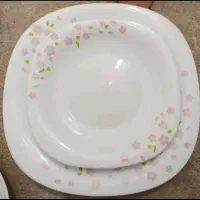سرویس آرکوپال لومینارک