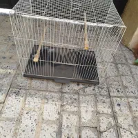 قفس پرنده
