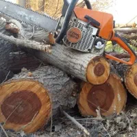 خریددرخت خریدچوب برش چوب خریدچوب کهنه وهرس|خدمات باغبانی و درختکاری|تبریز, |دیوار