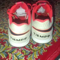 کفش اورجینال اصل سالنی|کیف، کفش، کمربند|سرعین, |دیوار