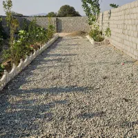 باغچه سند تک برگ دار با نگهبانی