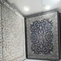 ۷۰۰ شانه درجه ۱|فرش|کرمانشاه, |دیوار