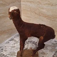 دکوری گوسفند