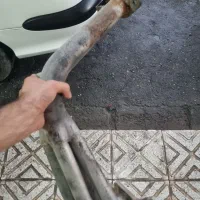 هدرز تیپ ۲ سالم