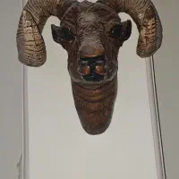 کله فایبرگلس