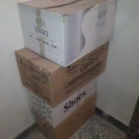 کارتُن بزرگ و کوچک کفش