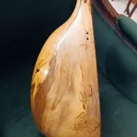 تنبور کلکسیونی استاد رضا براخانی|سازهای سنتی|تهران, شکیبا|دیوار