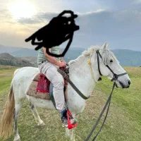 اسب نریان|اسب و تجهیزات اسب‌سواری|گنبد کاووس, |دیوار