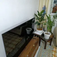 فروش فوری تلویزیون X.Vision ، عالی تمیز 50 اینچ