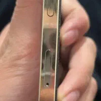 12 پرومکس