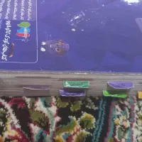 گام به گام. کلاس هفتم|کتاب و مجله آموزشی|شیراز, کرونی(خاتونک)|دیوار