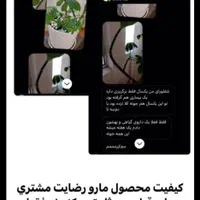 قرص کود|گل و گیاه طبیعی|خرمشهر, |دیوار