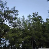 5000متر زمین دغاغله آینده دار