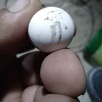 سنگ الماس اسیاب اصلی|فعالیت داوطلبانه|خانمیرزا, |دیوار