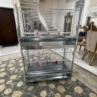 قفس مرغ گوشتی و تخمگذار