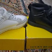 کفش بچه گانهTOMMY|کیف، کفش، کمربند|شیراز, شهرک بهشتی|دیوار