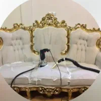 شستشوی تخصصی مبلمان در سراسر تهران