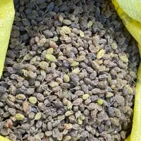 کشمش سایه خشک