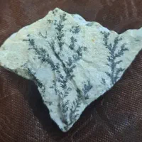 سنگ شجر . آماده برش و سیقل
