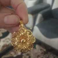 پلاک دربدلیجات