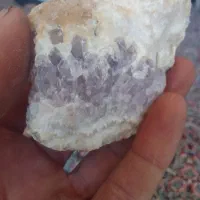 زلتازلتککلبب