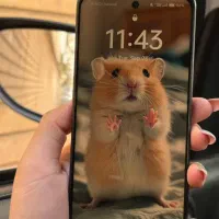 گوشی oppo a98 5g نقدی یا معاوضه|موبایل|شیراز, شهرک گلستان|دیوار
