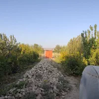 باغچه|فروش زمین و ملک کلنگی|فشاپویه, |دیوار