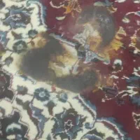 فرش ۶متری|فرش|کهریزک, |دیوار