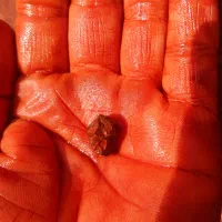 چند کانی سولفید، سینابر ،شنگرف ،سنگ