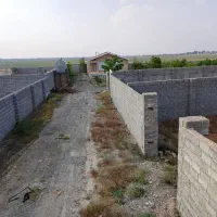 بازمرگان-عسگریه