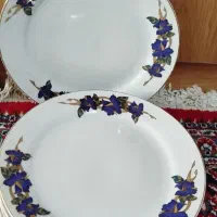 بشقاب چینی یک دست|ظروف سرو و پذیرایی|بروجرد, |دیوار