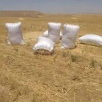 کاه فروشی