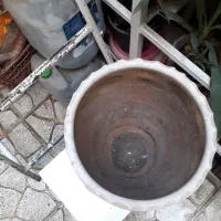گلدان سفالی بزرگ|گل و گیاه طبیعی|تهران, مینای جنوبی|دیوار