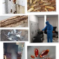 سم پاشی و ضد عفونی منازل مسکونی