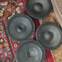 ساب ووفر دایناکورد