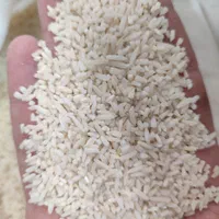 برنج سرلاشه هاشمی معطر|خوردنی و آشامیدنی|زنجان, |دیوار