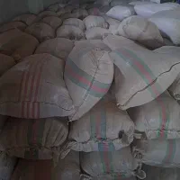 سبوس شالی