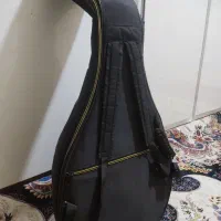 عود حرفه‌ای