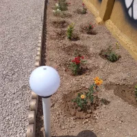 زمین ملکی داخل مجتمع