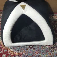 گربه کلبه