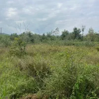 زمین-کشاورزی